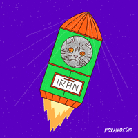 cat fox GIF by Animation Domination High-Def