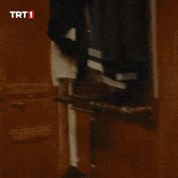 Trt GIF by WASS Medya