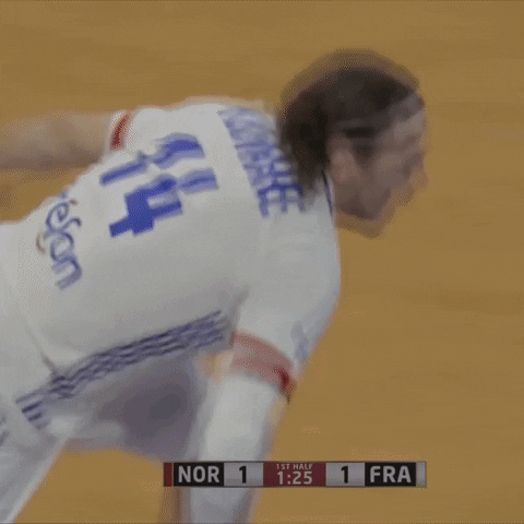Ffhandball GIF by Fédération Française de Handball