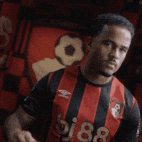 Cant Hear You Premier League GIF by AFC Bournemouth