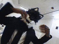 Wolf Bass GIF by IDK