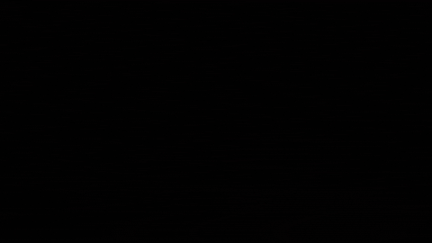 Nutcracker Marzipan GIF by New York City Ballet