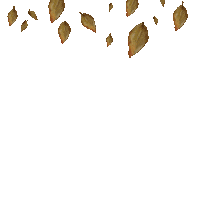 Falling Leaf Leaves Sticker by Cathleen Cafasso
