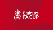 Fa Cup Football GIF by Emirates FA Cup