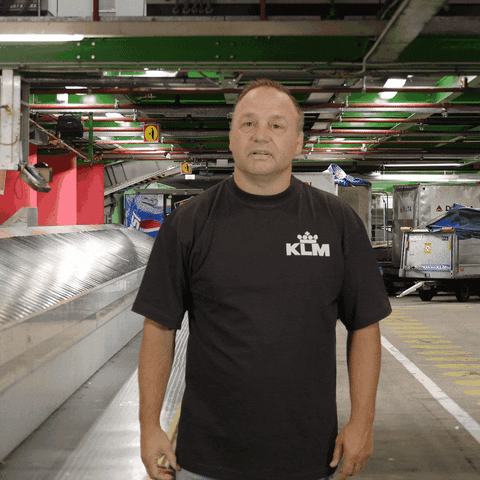 Royal Dutch Airlines Travel GIF by KLM