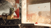 Season 1 Sptv GIF by Sony Pictures Television