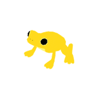 Frog Rana Sticker