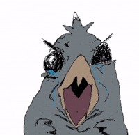 Notpinkguy GIF