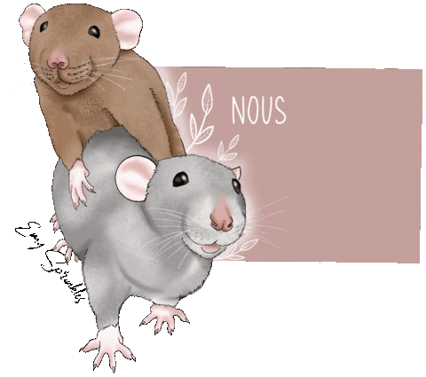 Mouse Hamster Sticker
