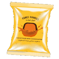 Abu Dhabi Yas Sticker by Camel Cookies