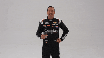 Kyle Busch Cheers GIF by Richard Childress Racing