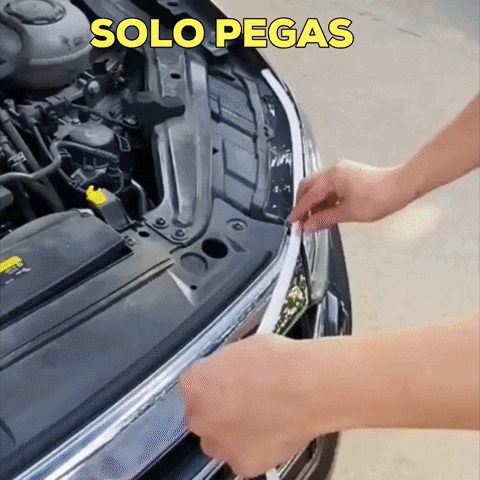 carpierperu giphygifmaker GIF