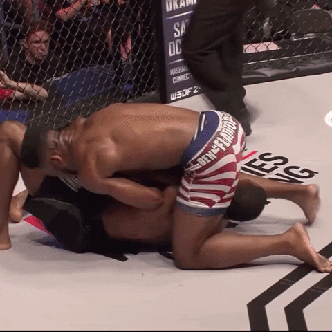 Phoenix Jones GIF by PFL