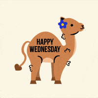 Wednesday Morning GIF by Jessica Lau