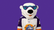 Polar Bear Reaction GIF by Orlando Solar Bears