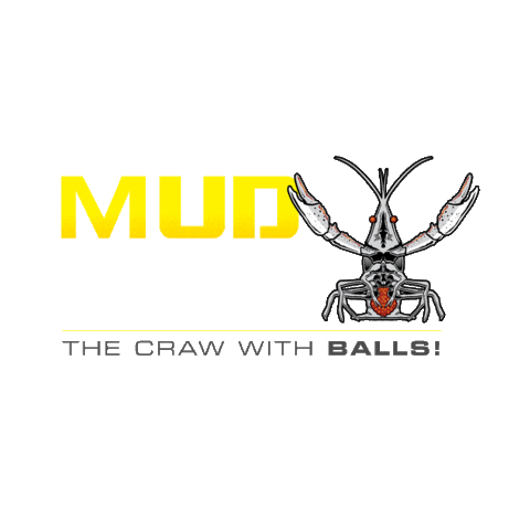 Bass Fishing Sticker by Chasebaits