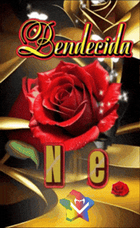 Rosa Amigos GIF by Murcianys LLC