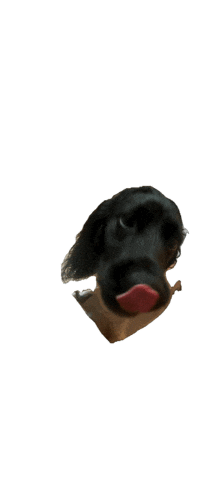 Parker Sticker by lyallpenleyphotos