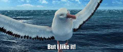 LukeSnywalker giphyupload bird i like it subtitles GIF