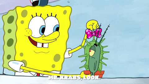 season 9 squid defense GIF by SpongeBob SquarePants