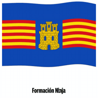 Flag Spain GIF by Formación Ninja