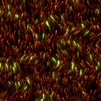 Loop Motion Graphics GIF by xponentialdesign