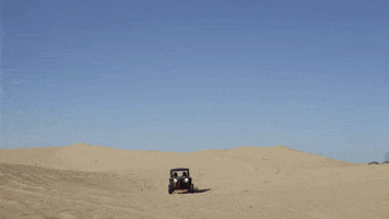 Red Bull F1 GIF by Red Bull Racing