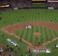stl GIF by MLB