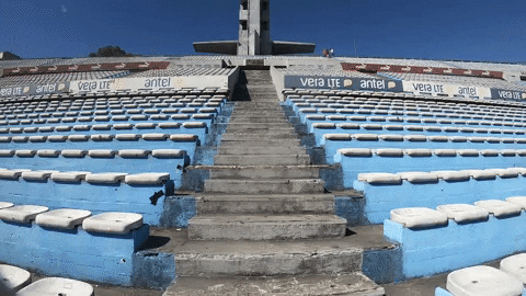 amandajacobus giphyupload GIF