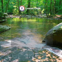 Motivation Improve GIF by Learner Circle