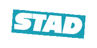 stadhaarlem haarlem stad stichting stichtingstad Sticker