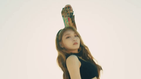 why dont you know k-pop GIF