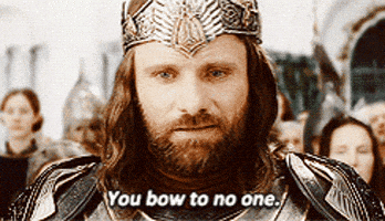 The Lord Of The Rings King GIF