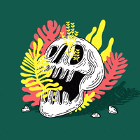 Skull Death GIF by Rafael Alejandro