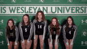 Iwuwvb24 GIF by iwusports