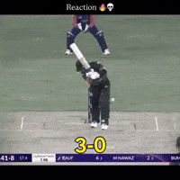 Team India Cricket GIF