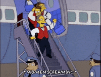 homer simpson GIF