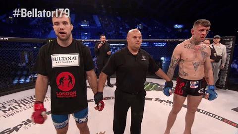 GIF by Bellator