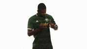 Portland Timbers GIF by Timbers