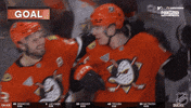 Happy Anaheim Ducks GIF by NHL