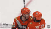 Happy Anaheim Ducks GIF by NHL