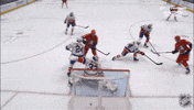 Anaheim Ducks Smile GIF by NHL
