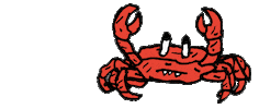 Crab Eating Sticker