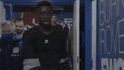 Watford Fc Sport GIF by Watford Football Club