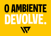 Workplace Ambiente GIF by PXP Digital