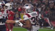 Football Celebration GIF by New England Patriots