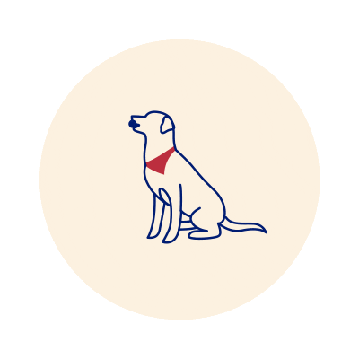 petlabco giphyupload dog petlab thepetlabco Sticker