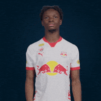 Football Sport GIF by FC Red Bull Salzburg
