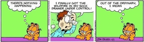 alonyer1 giphygifmaker garfield alzheimer GIF