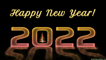 New Year Celebration GIF by echilibrultau